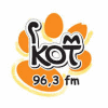 Кот ФМ